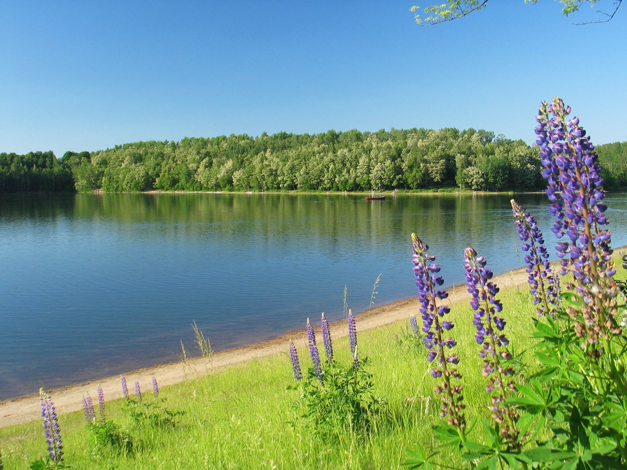 Blick über die Felder bei Sonnenuntergang