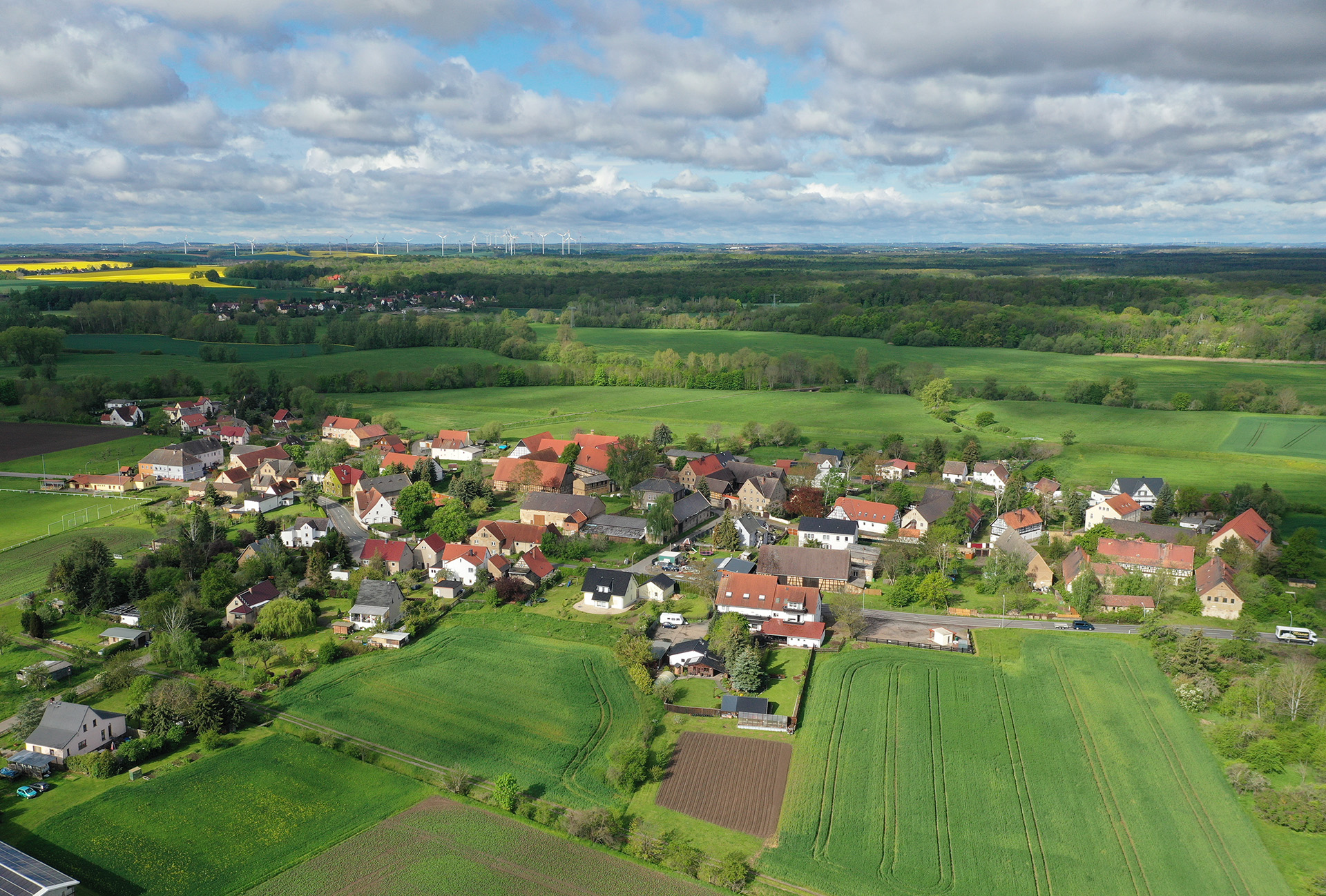 Wanderweg durch die Natur der Pleißenaue